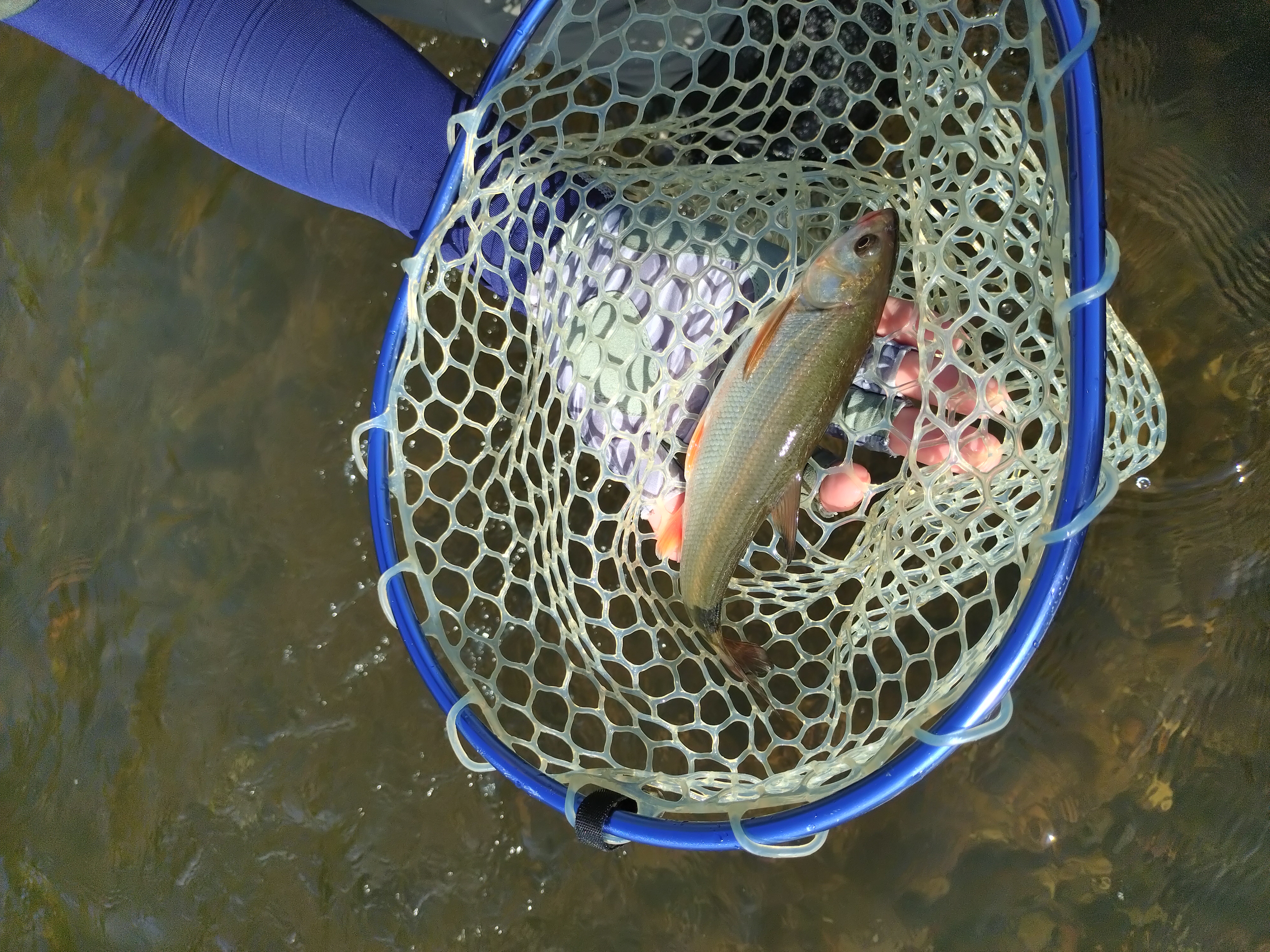 Fishing 2