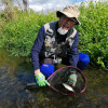 Picture of Mark All courses