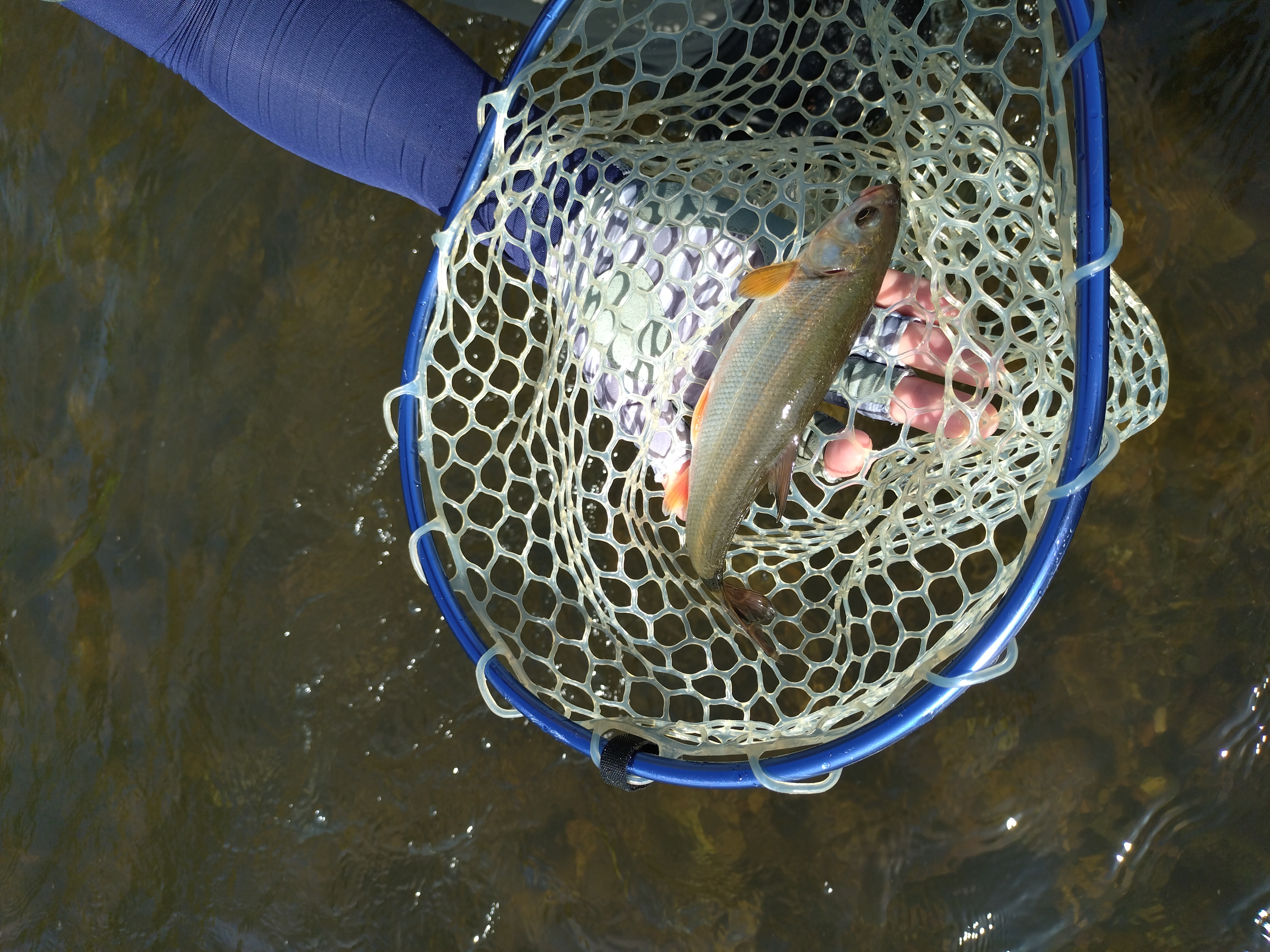 Fishing 2